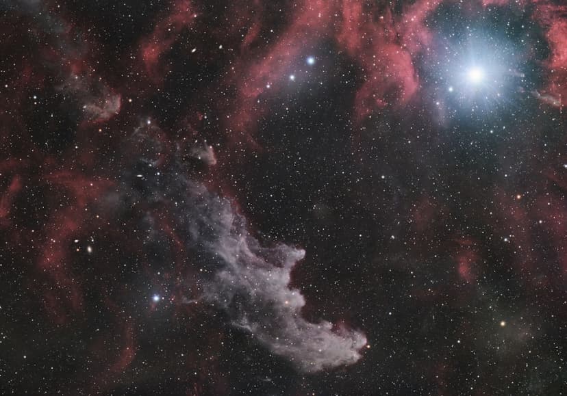 Rigel and the Witch Head Nebula image