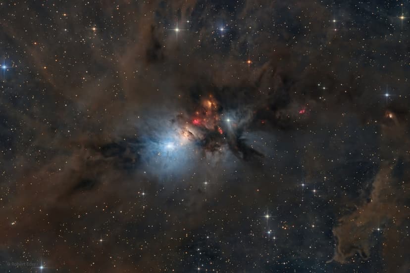 NGC 1333: Stellar Nursery in Perseus image