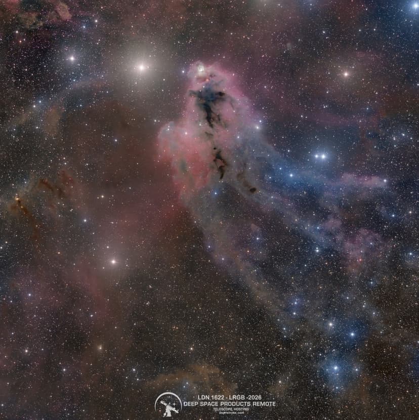 LDN 1622: Dark Nebula in Orion image