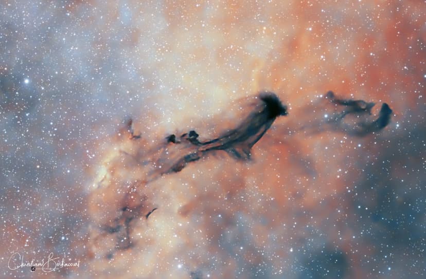 B93: A Dark Interstellar Ghost image