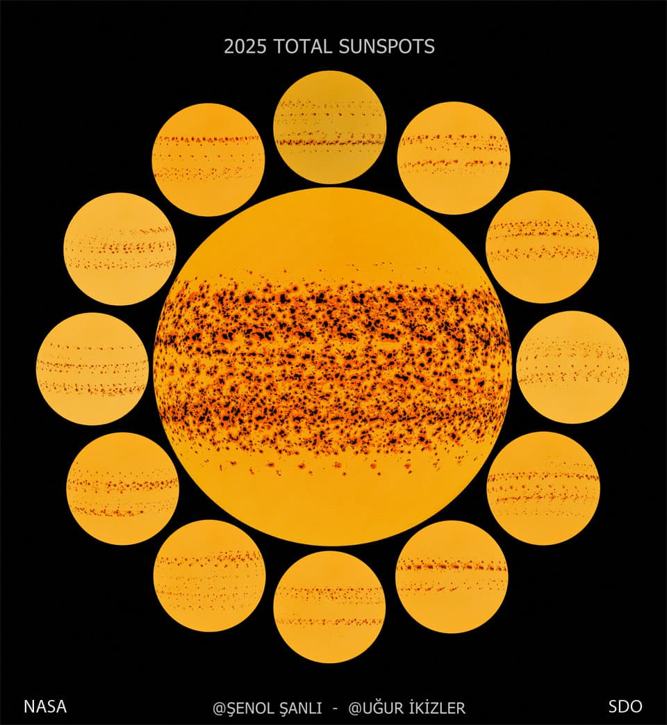 A Year of Sunspots