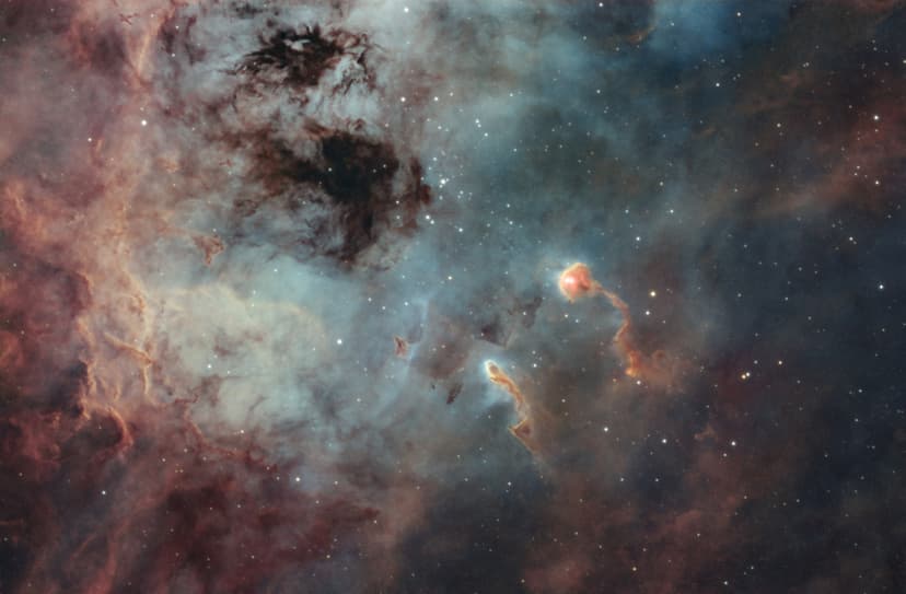 The Tadpoles of IC 410 image