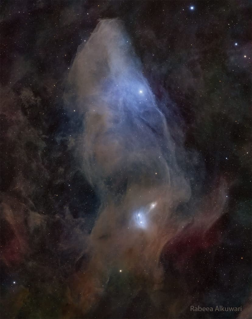 IC 4592: The Blue Horsehead Reflection Nebula image