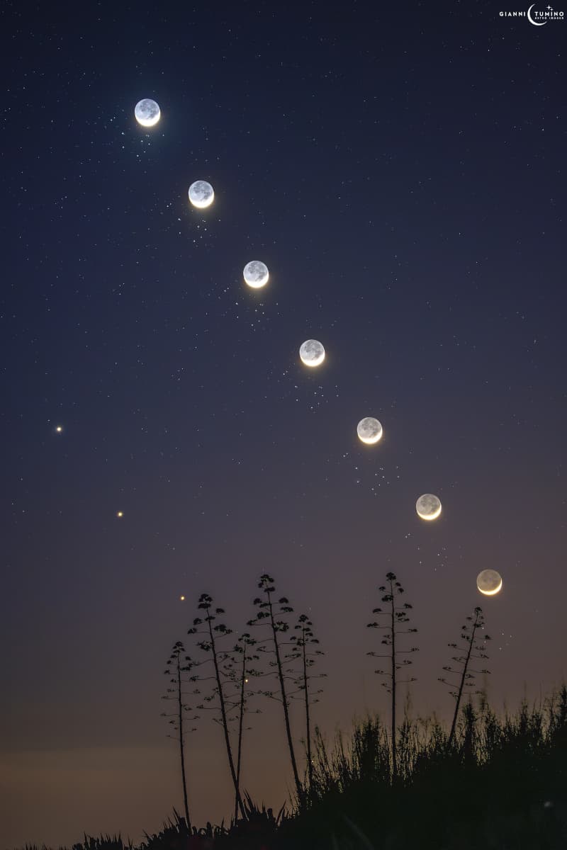 The Moon, Venus, and the Pleiades