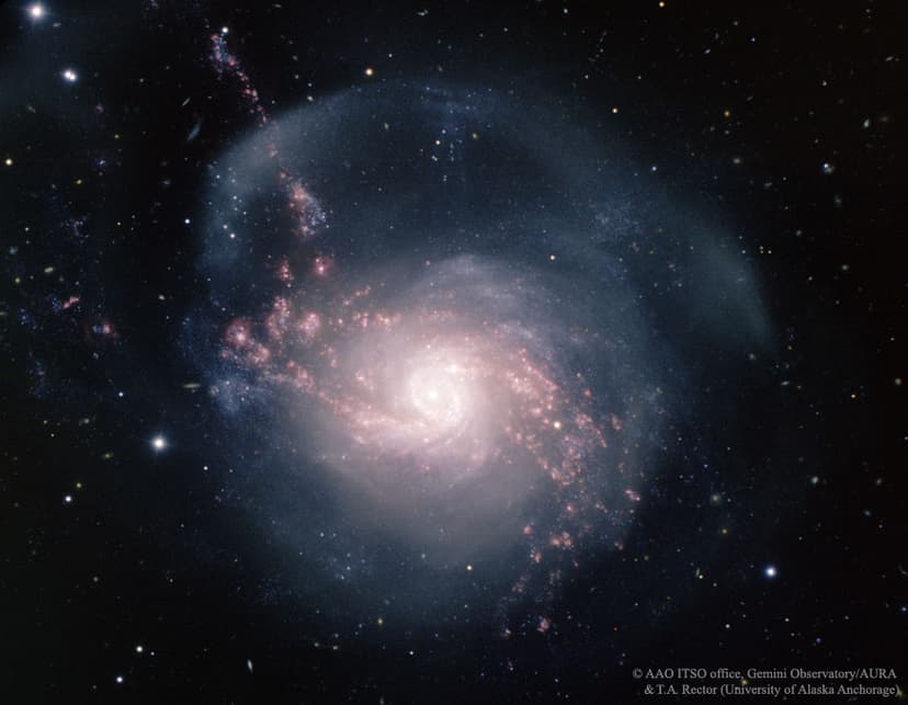 NGC 3310: A Starburst Spiral Galaxy image