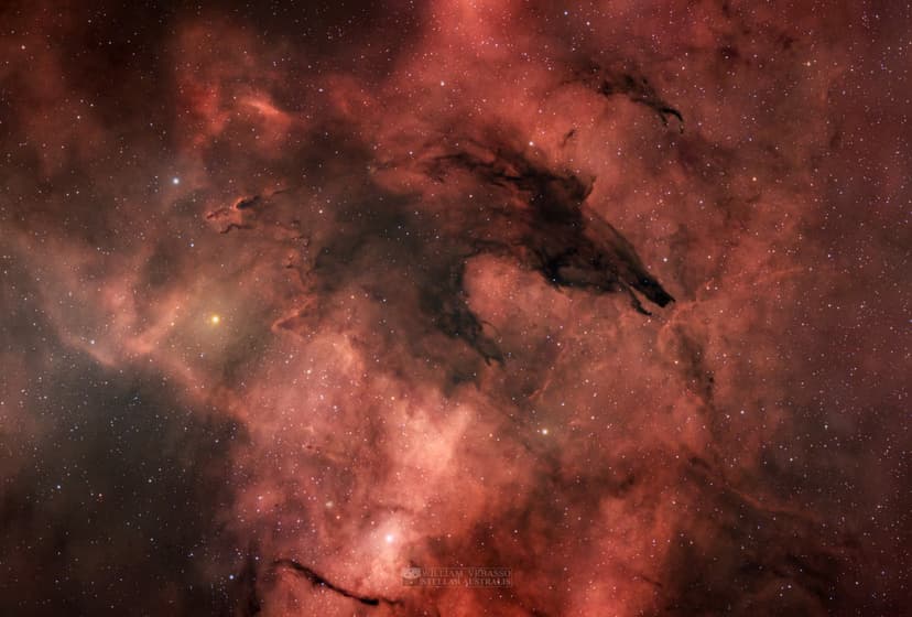 The Dark Wolf Nebula image