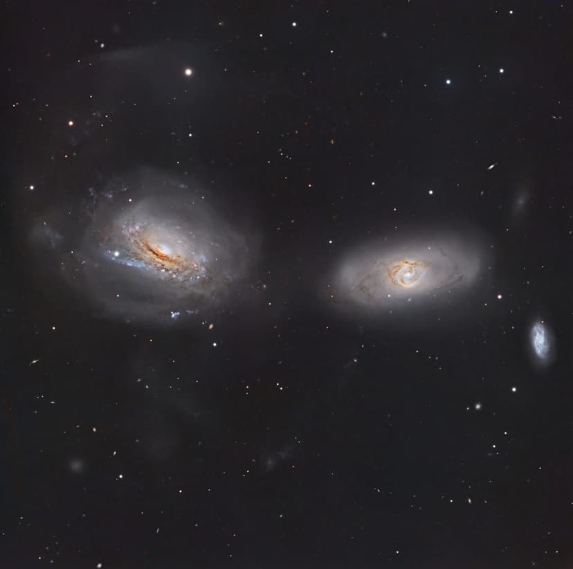 Unraveling NGC 3169 image