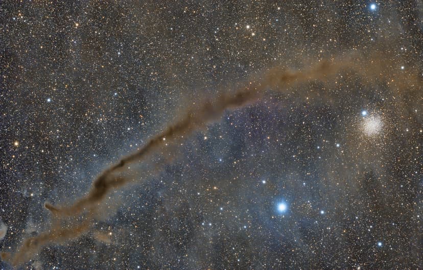 NGC 4372 and the Dark Doodad image