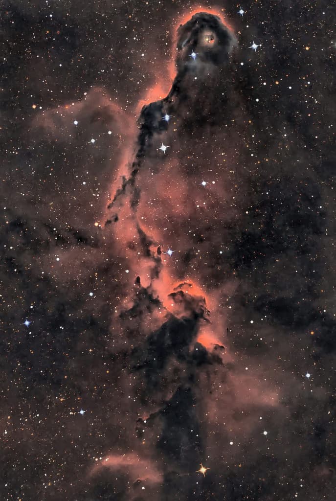 The Elephant's Trunk in Cepheus image