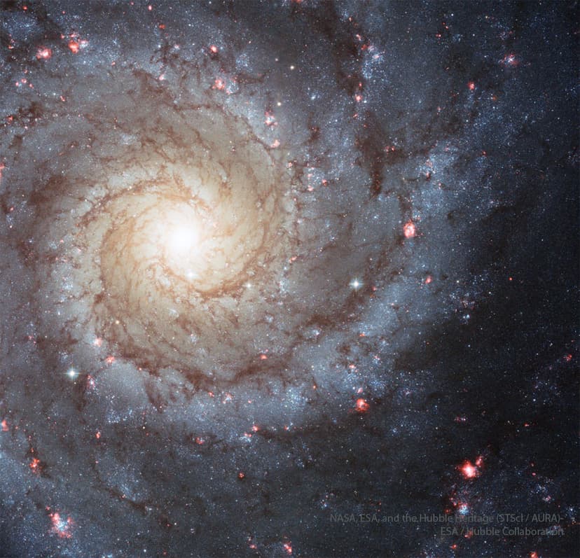 M74: A Grand Design Spiral image