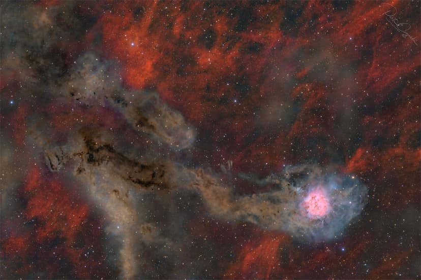 Cocoon Nebula Wide Field image